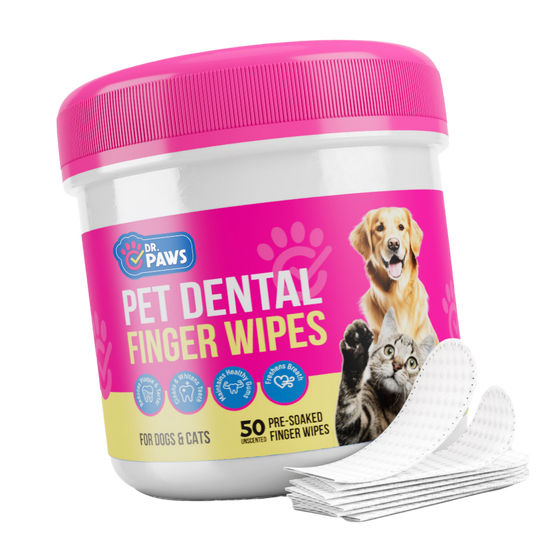 Dental Jumpstart Mission