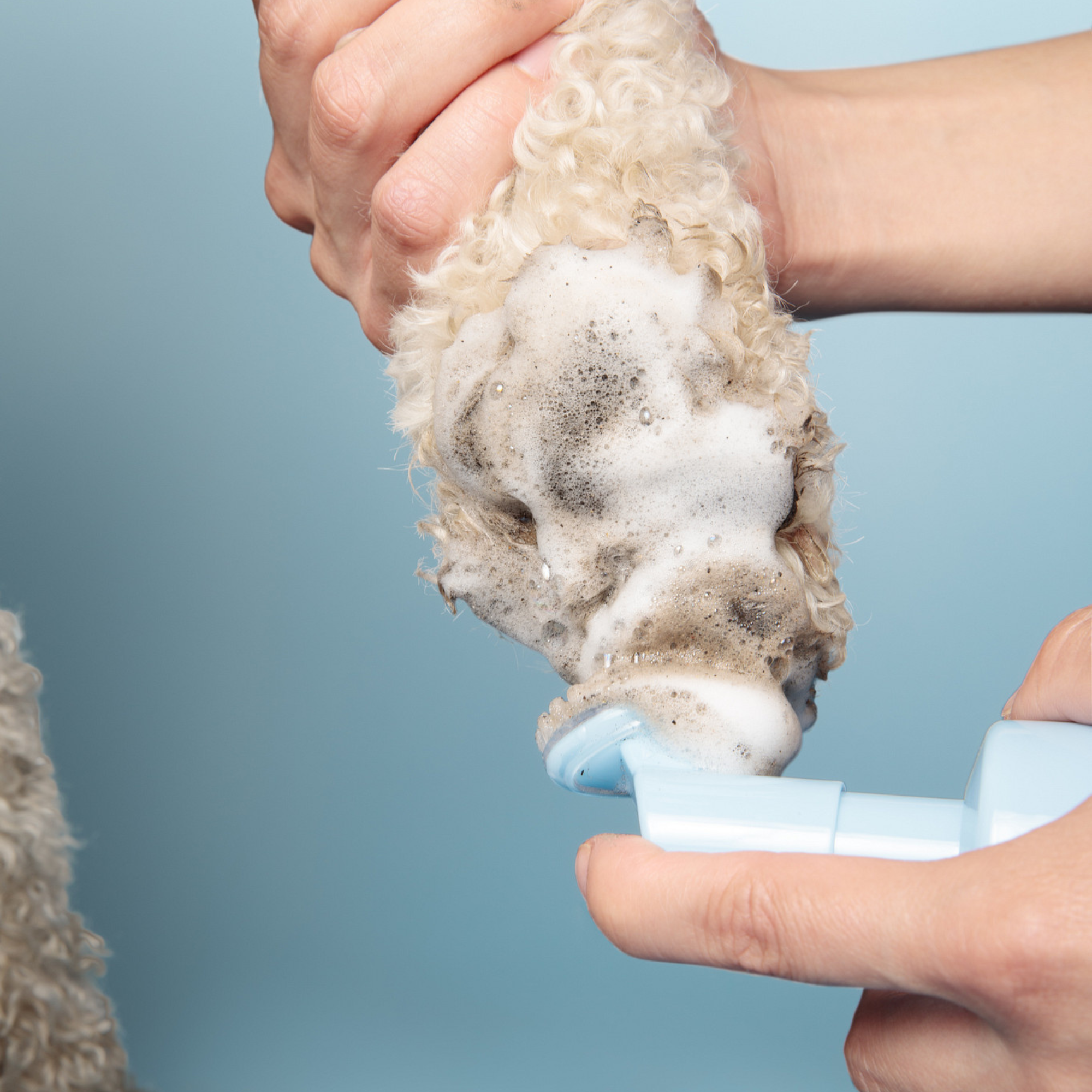 Espuma limpiadora para patas de perro: fórmula hidratante y resistente al lamido con cabezal de cepillo incorporado