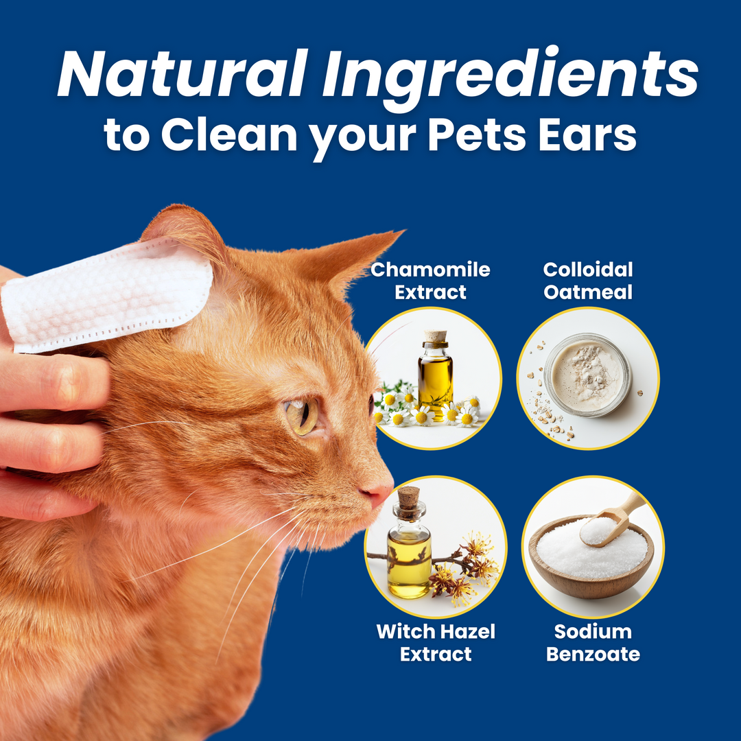 3-Pack Hygiene Bundle – Pet Dental, Ear, & Eye Finger Wipes
