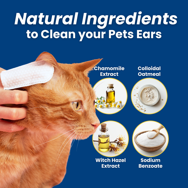 3-Pack Hygiene Bundle – Pet Dental, Ear, & Eye Finger Wipes