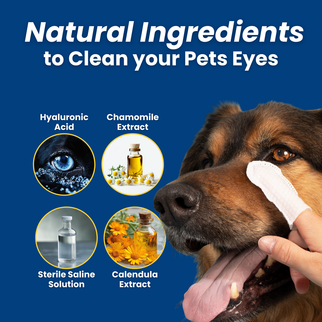 3-Pack Hygiene Bundle – Pet Dental, Ear, & Eye Finger Wipes