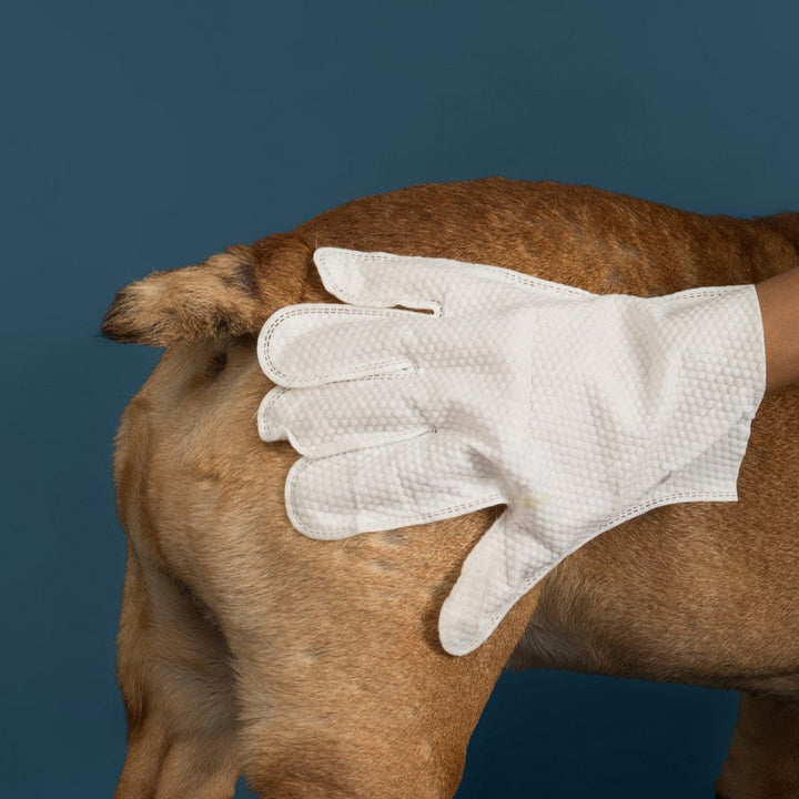 Toallitas de aseo Glove &amp; Go! para perros y gatos