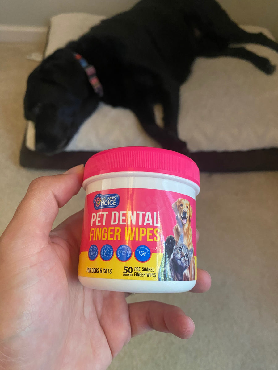 CHOOSE YOUR DENTAL SCENT
