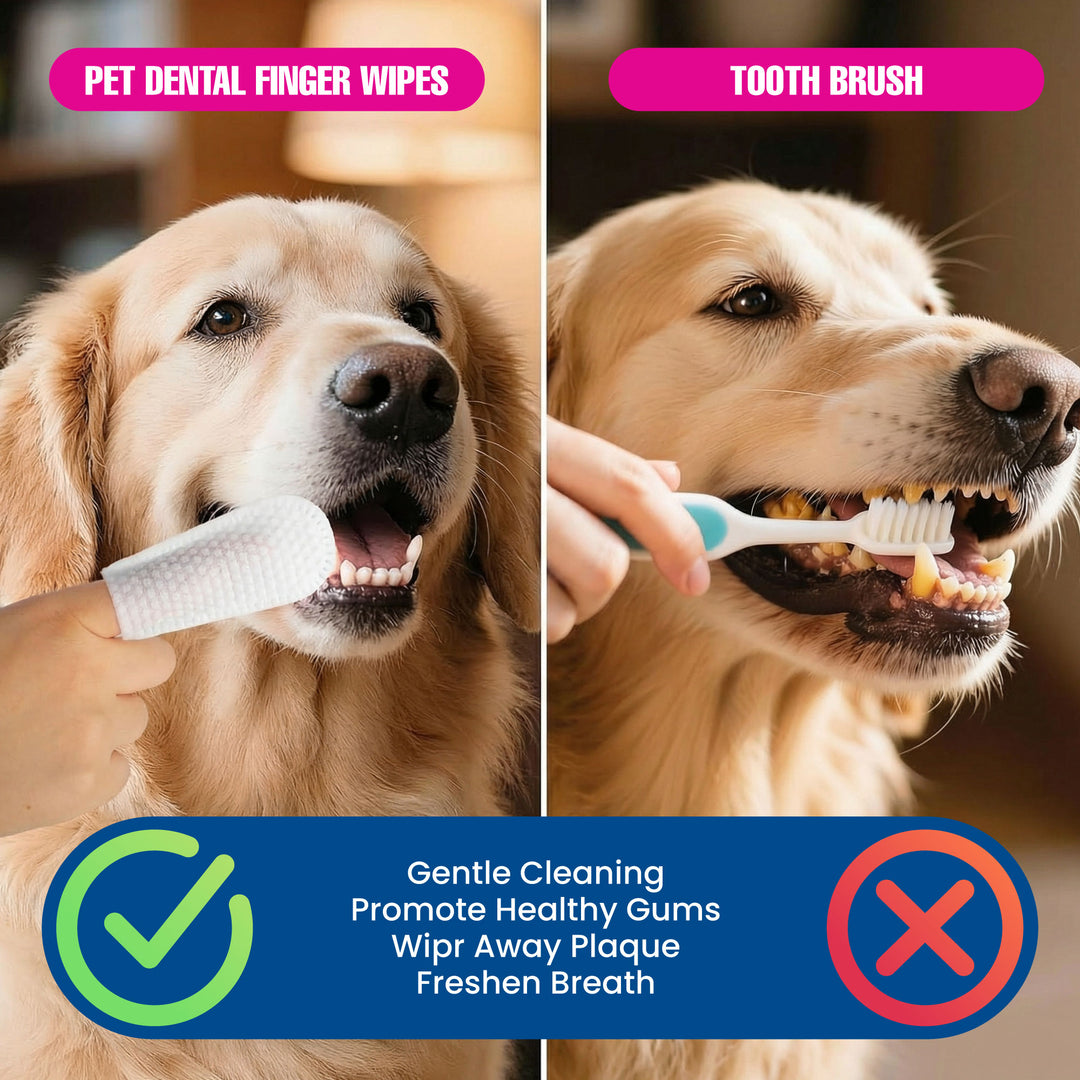 Dental Finger Wipes for Teeth Cleaning (50 Count)