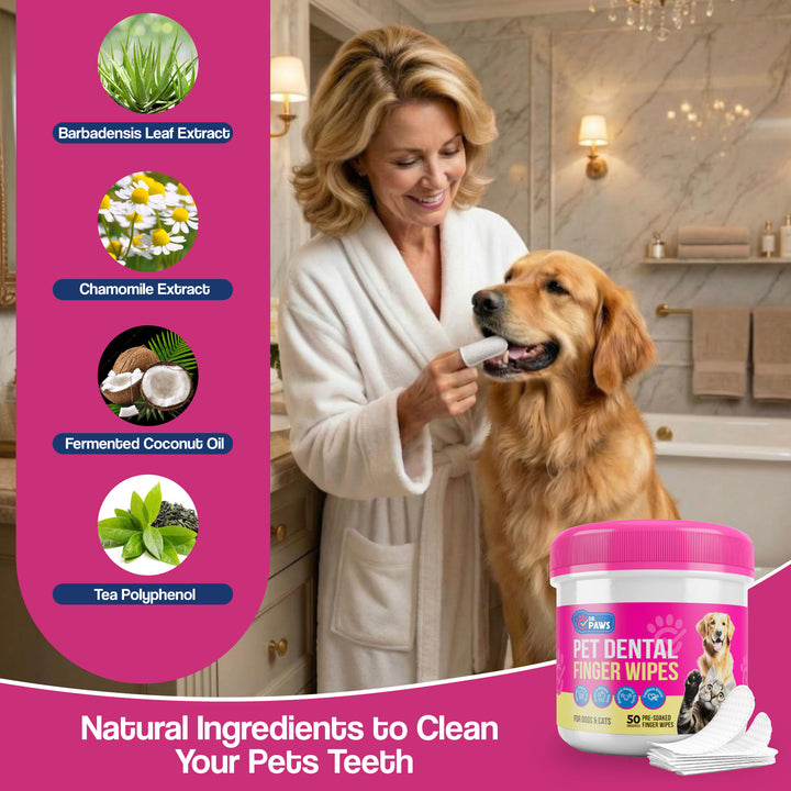 Dental Finger Wipes for Teeth Cleaning (50 Count)