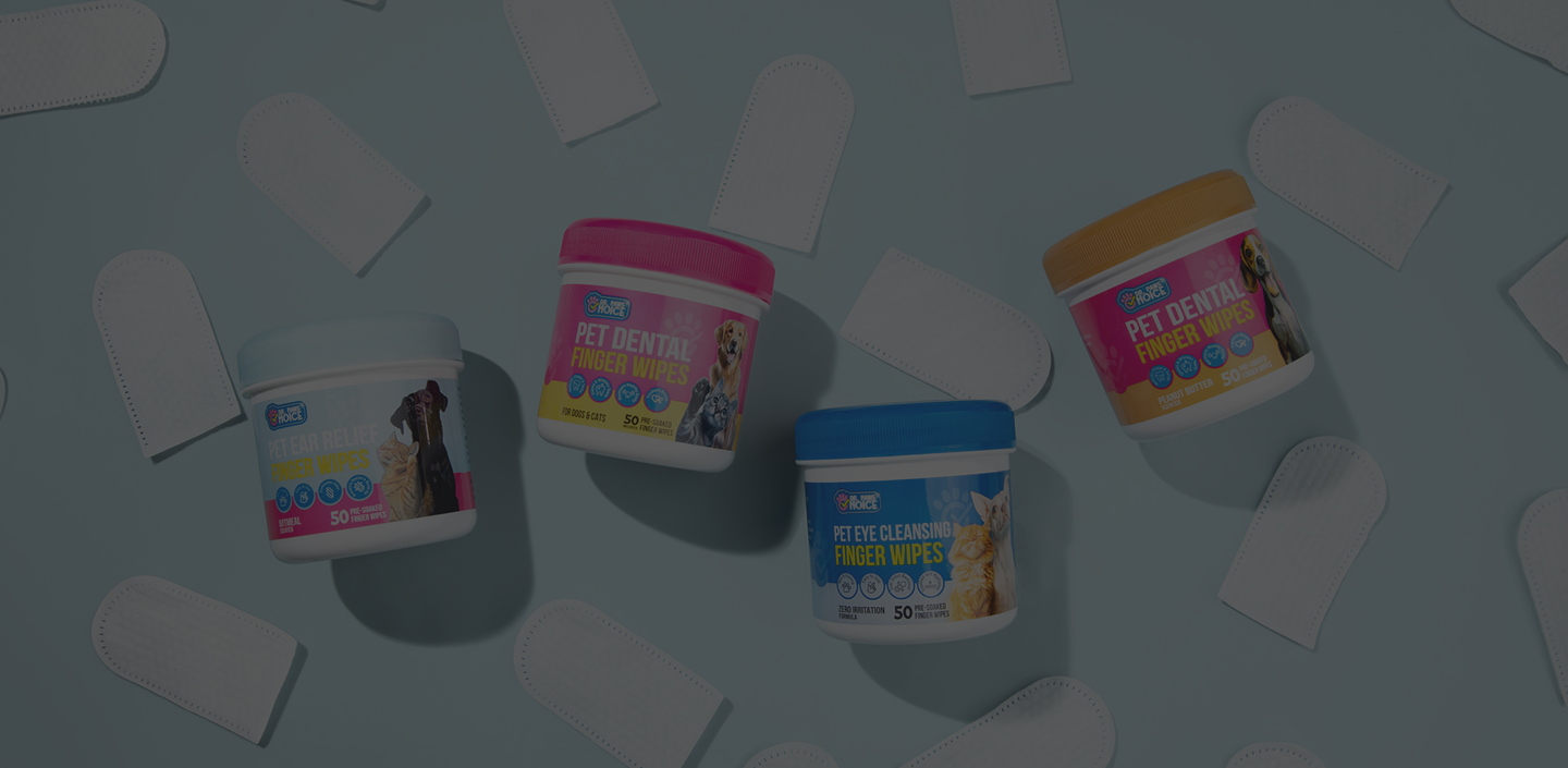 Rectangle 4864.png__PID:6a9f7536-e49c-485d-8533-f4b8ed66f654