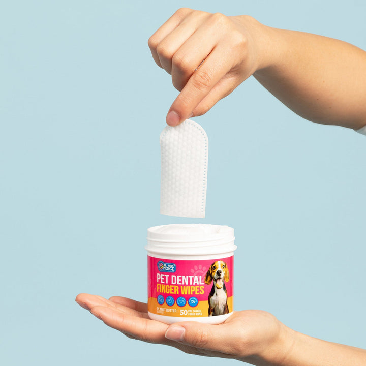 Dental Finger Wipes for Teeth Cleaning (50 Count)